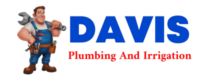 Trusted plumber in TURBOTVILLE